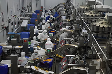 Food Processing Plants