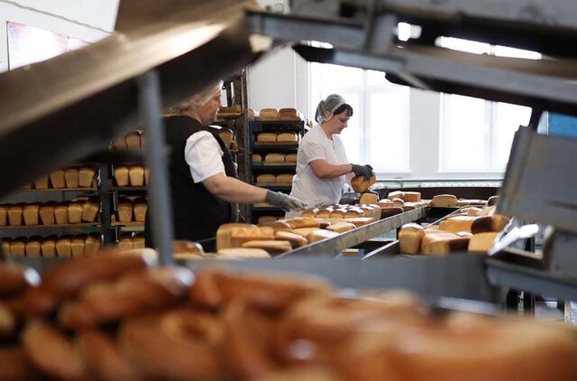 industrial tunnel oven 02