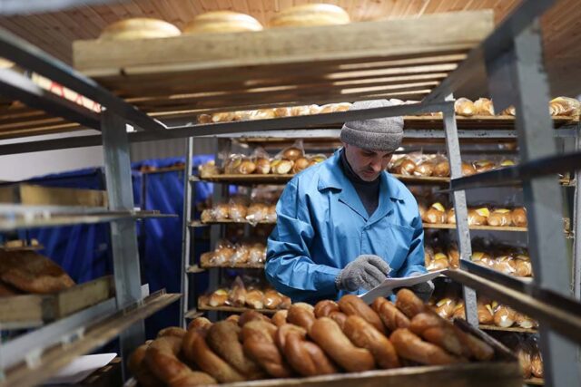 tunnel oven for pizza 03